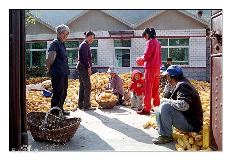 精选于小慧(Sandy Yu)