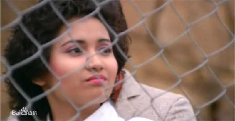 陈佩茜青春1000日生活照