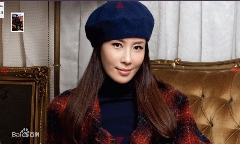 李泰兰()最优质封面海报