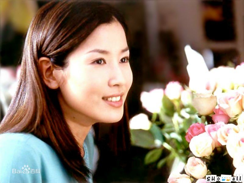 李泰兰()最优质封面海报