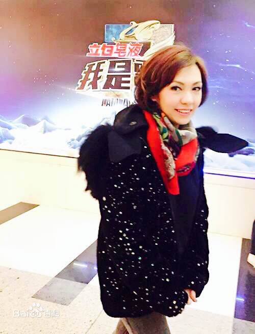 陈洁仪(Kit Chan)在《我是歌手第三季》中的