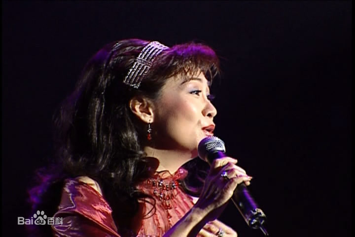 森森(Sylvia Lai)金曲满天星演唱会前后照片