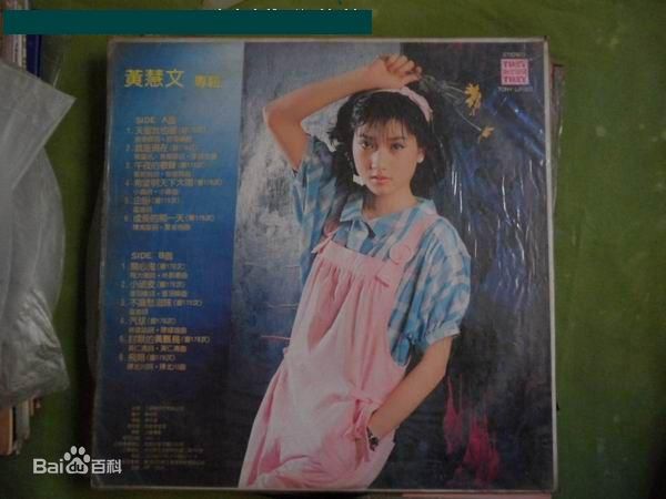 艾琪(novelle)黄慧文壁纸壁纸