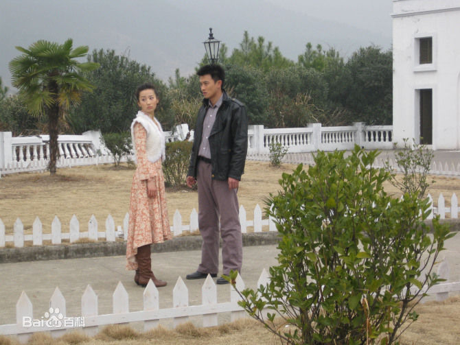 精选蒋毅在2009年《南城遗恨》饰演华威中的图册