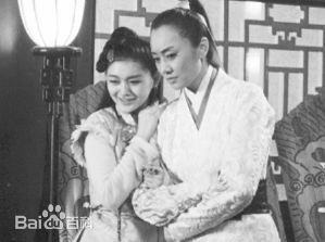 刘洋大内密探灵灵狗壁纸壁纸