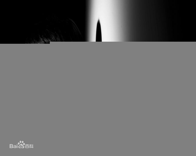 最新刘洋精彩图册