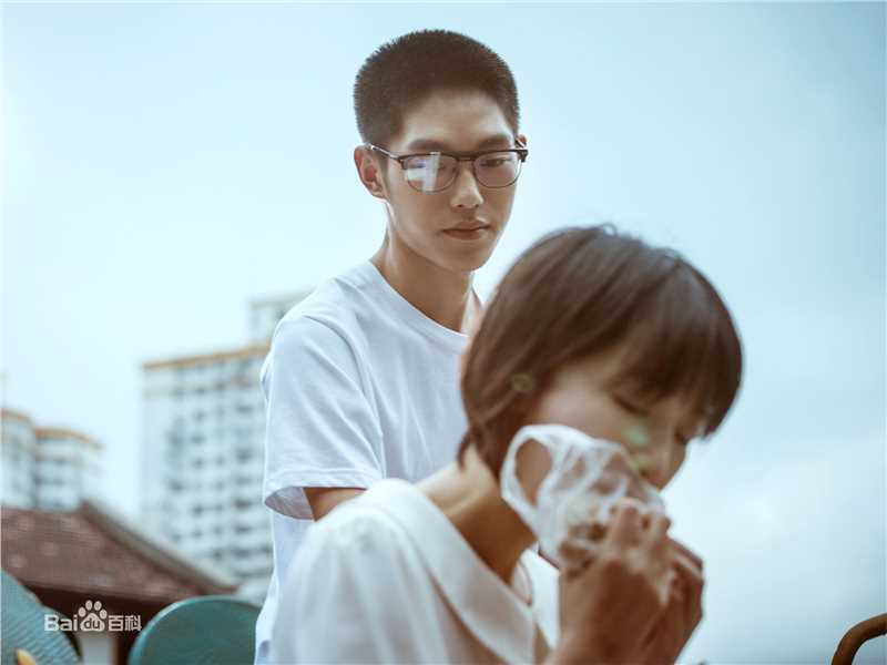 王锵阳台上海报剧照