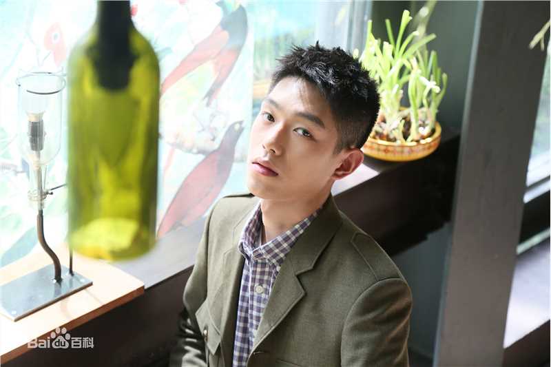 王锵阳台上发布会素颜照相册