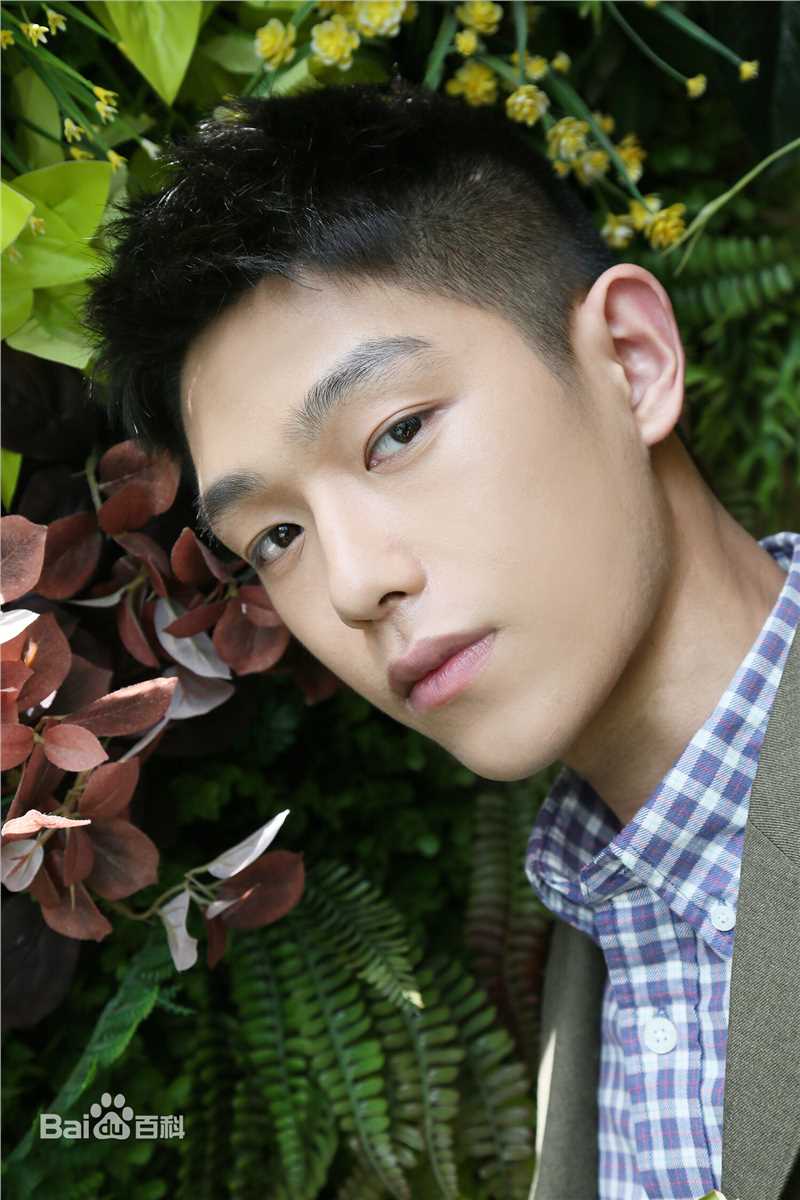 王锵阳台上发布会素颜照相册