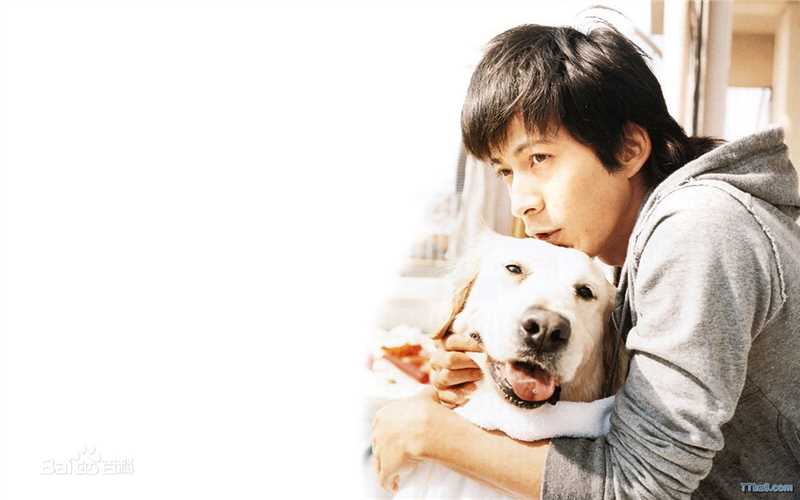 最全冈田准一(おかだ　じゅんいち、Okada Junichi)壁纸