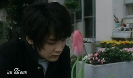 松田龙平(Ryuhei Matsuda)精选剧照