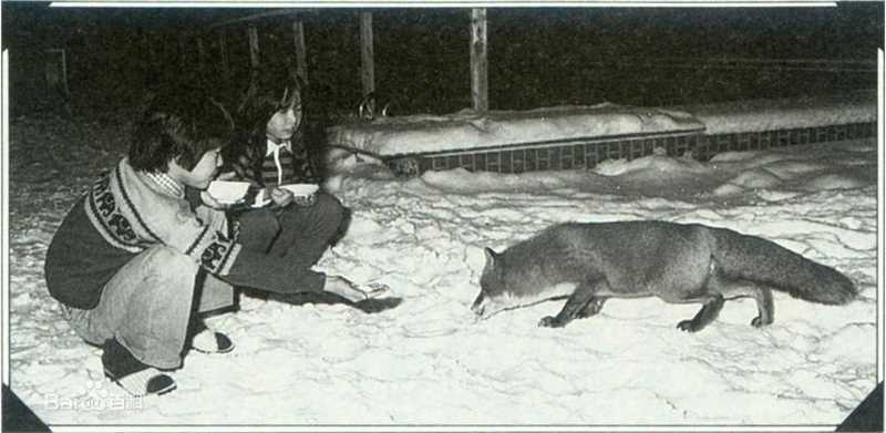 最全吉冈秀隆（Hidetaka Yoshioka）(Hidetaka Yoshioka)吉冈秀隆精彩图册