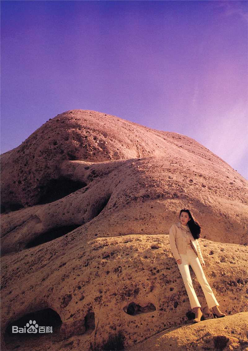 最全木村佳乃(きむら よしの、Yoshino Kimura)精彩图册