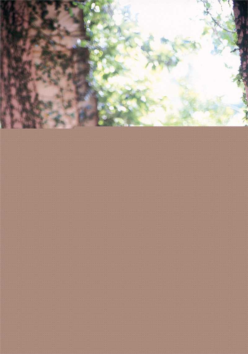 精选木村佳乃(きむら よしの、Yoshino Kimura)精彩图册