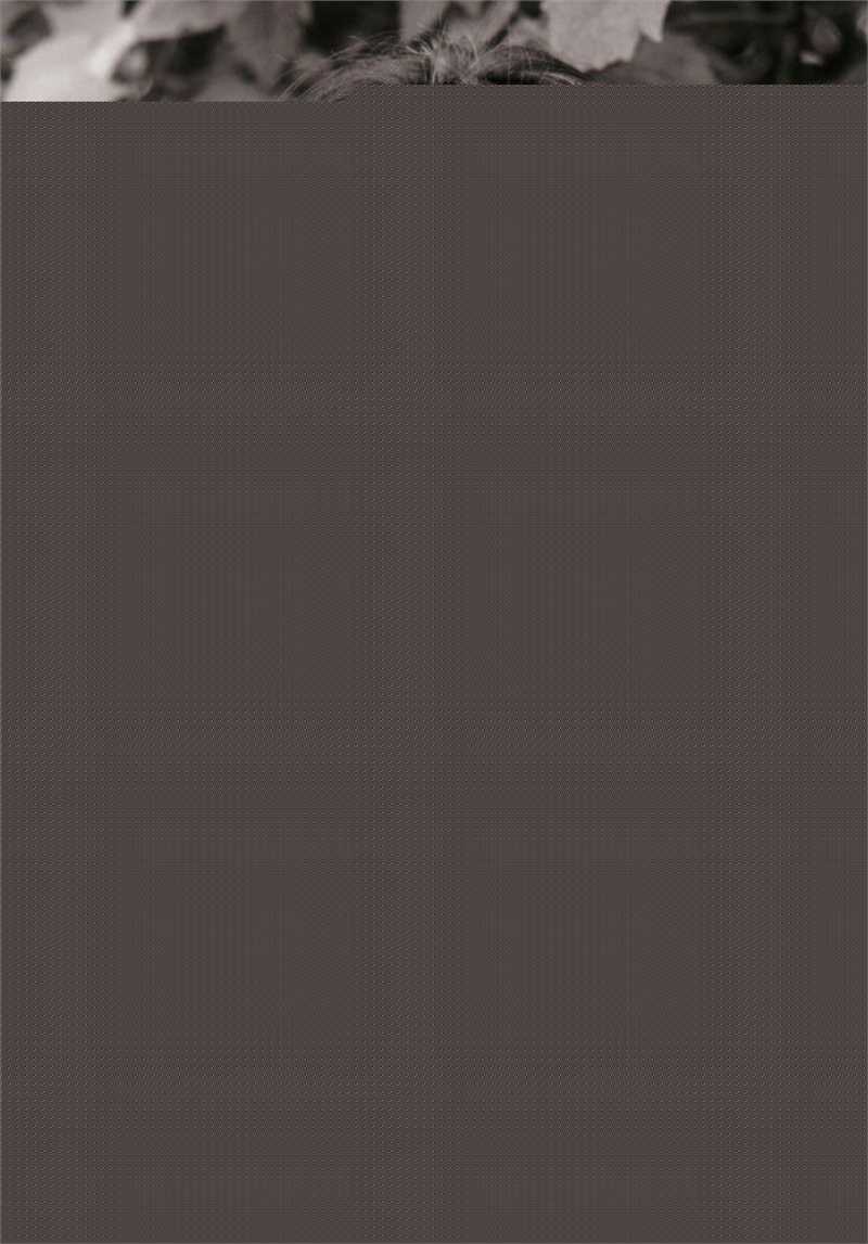 高清黑泽清(Kiyoshi Kurosawa)精彩图册