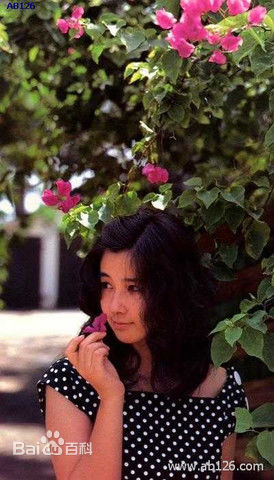 秋吉久美子(Onodera Kumiko)最优质