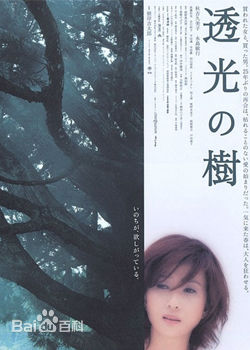 秋吉久美子(Onodera Kumiko)前后照片