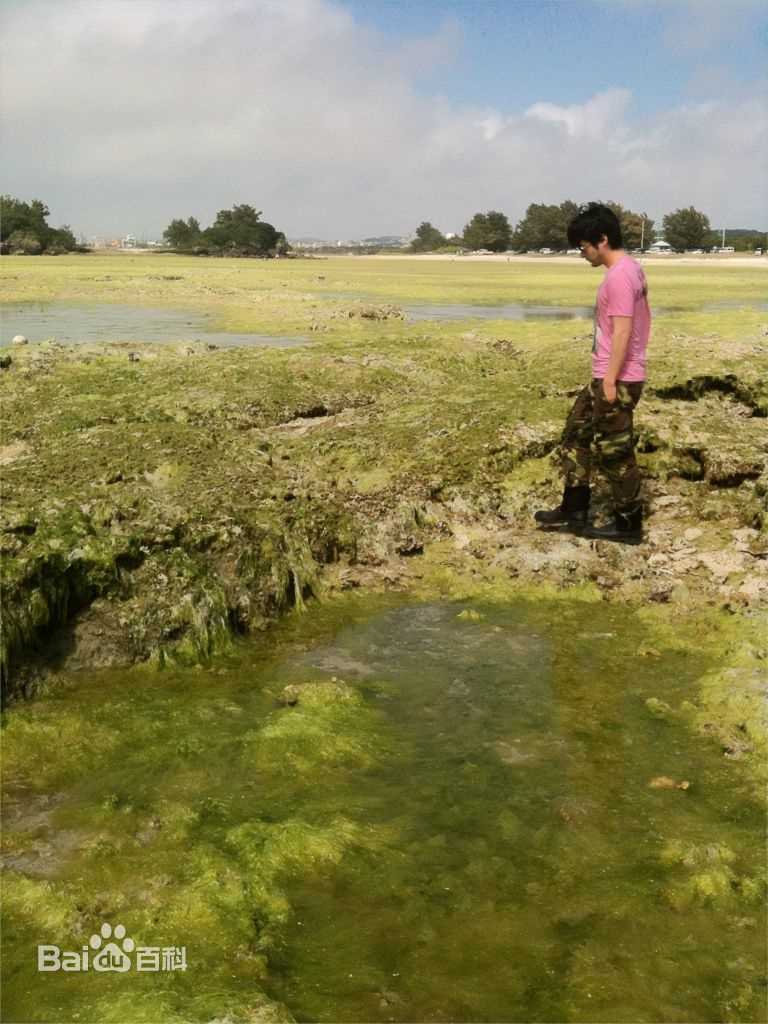 山田孝之(やまだ たかゆき)精彩图册