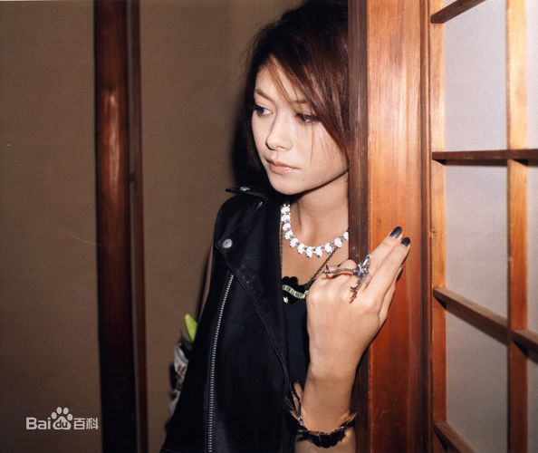 最全真木阳子、真木洋子(日文名：真木よう子（まき ようこ）)真木阳子精彩图册