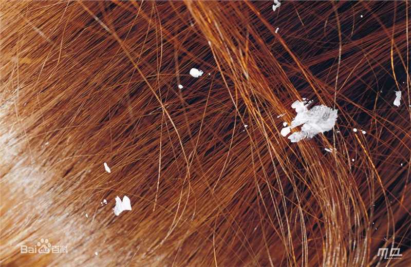 最全真木阳子、真木洋子(日文名：真木よう子（まき ようこ）)真木阳子精彩图册