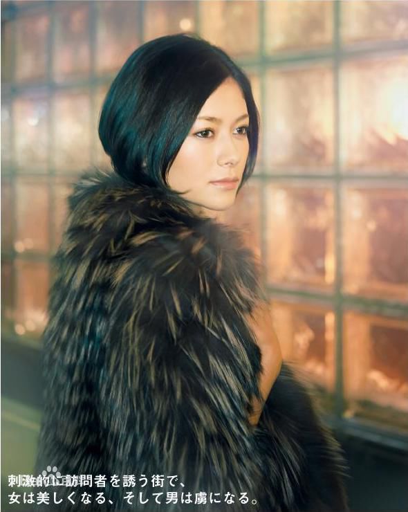 精选真木阳子、真木洋子(日文名：真木よう子（まき ようこ）)真木阳子精彩图册