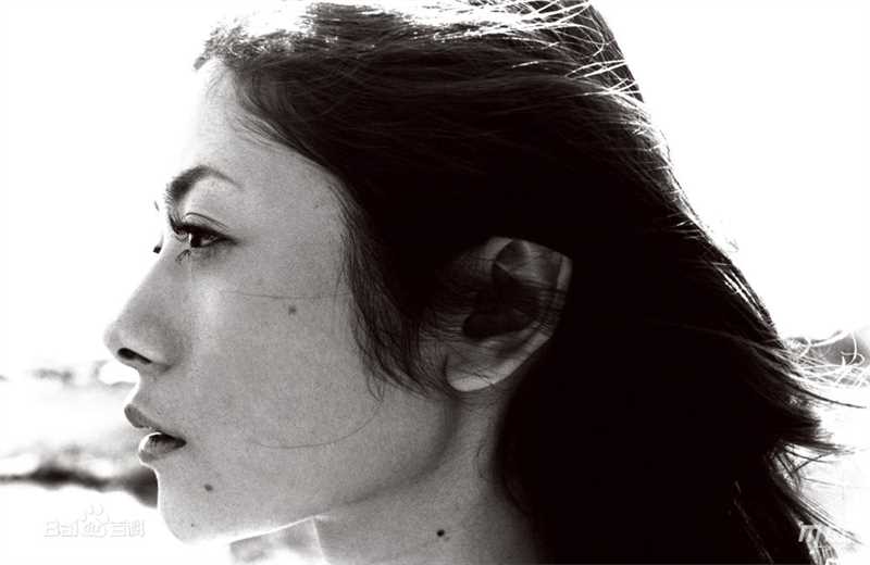 精选真木阳子、真木洋子(日文名：真木よう子（まき ようこ）)真木阳子精彩图册