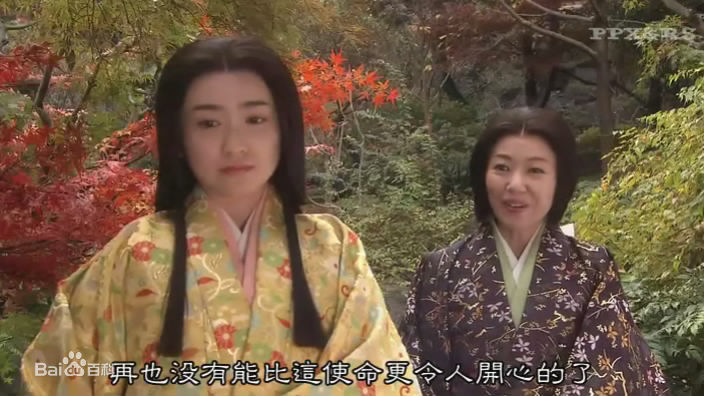 池胁千鹤(池脇千鹤)千鹤电视最全剧照