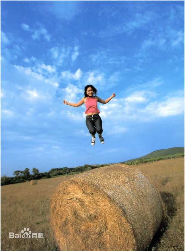 池胁千鹤(池脇千鹤)精选池脇 千鹤  集图册