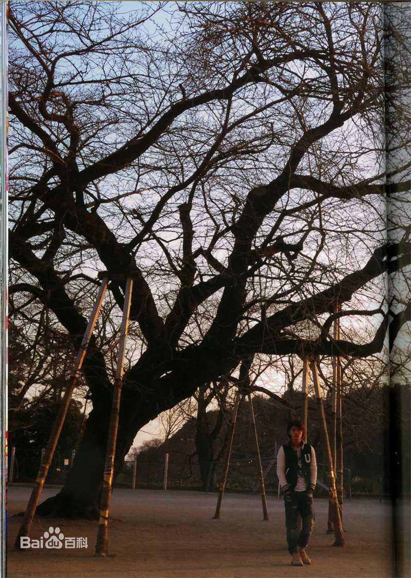 三浦春马(三浦 春馬 Miura Haruma、みうら はるま)精彩图册