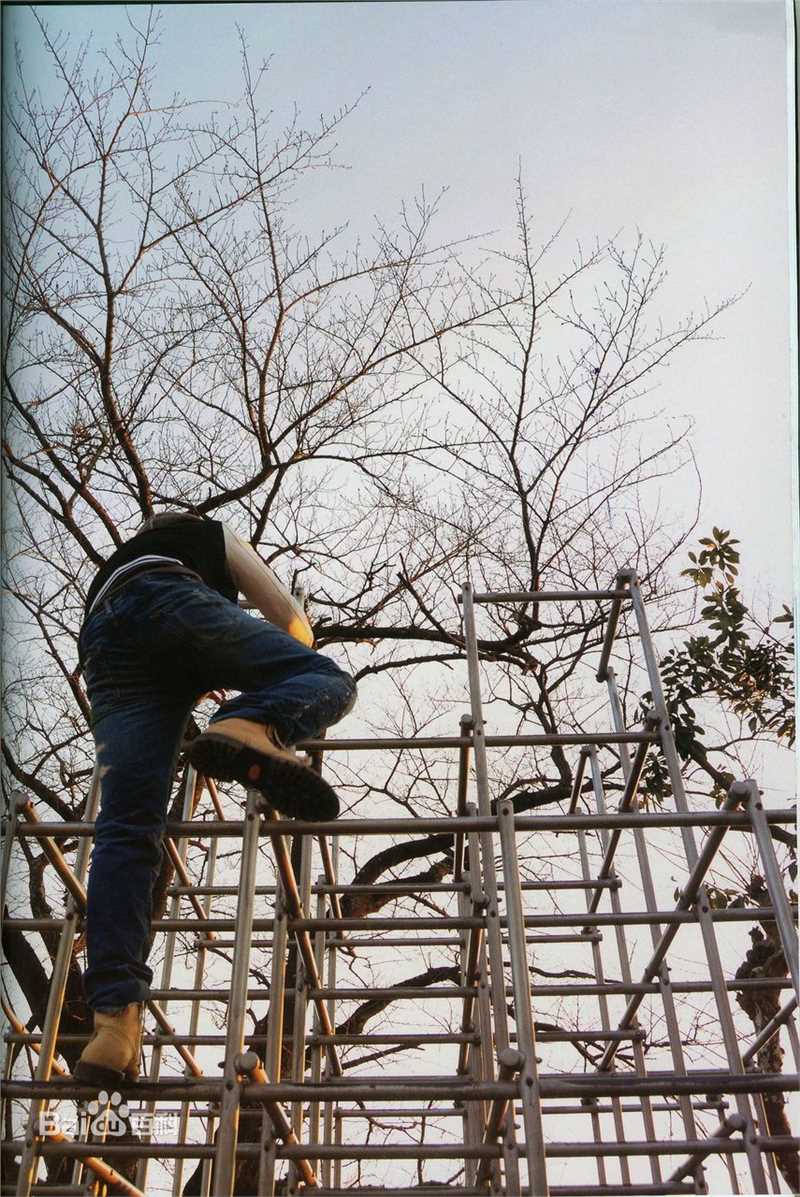 最新三浦春马(三浦 春馬 Miura Haruma、みうら はるま)精彩图册