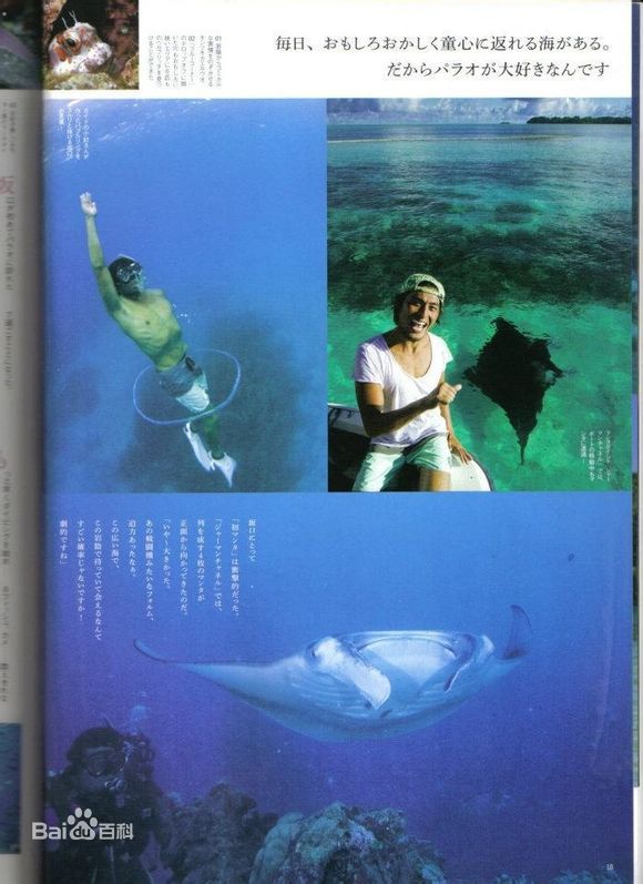 坂口宪二(SAKAGUCHI KENJI、さかぐち けんじ)最新杂志图壁纸