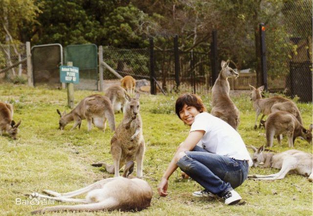 藤木直人(Naohito Fujiki)精彩图册
