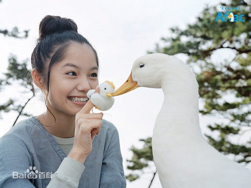 最全宫崎葵(宫崎あおい，みやざき あおい)在《》中的壁纸