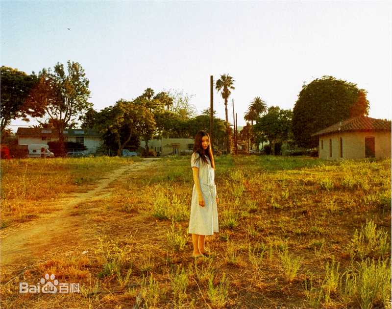 苍井优(あおい ゆう、Yu Aoi)❀壁纸壁纸