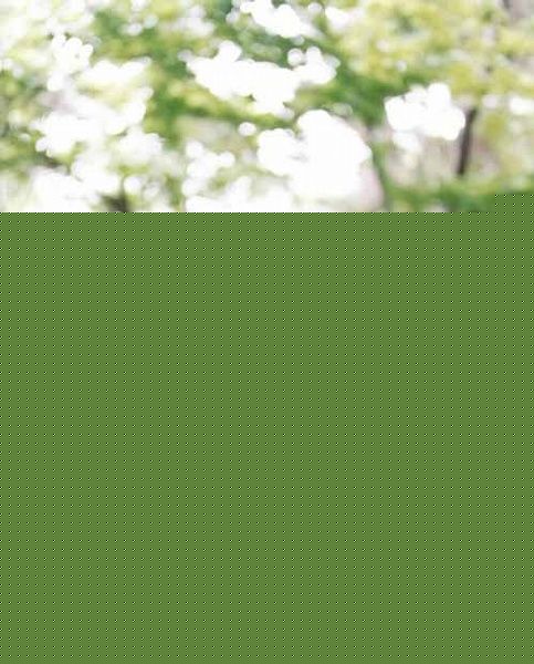 苍井优(あおい ゆう、Yu Aoi)精彩图册