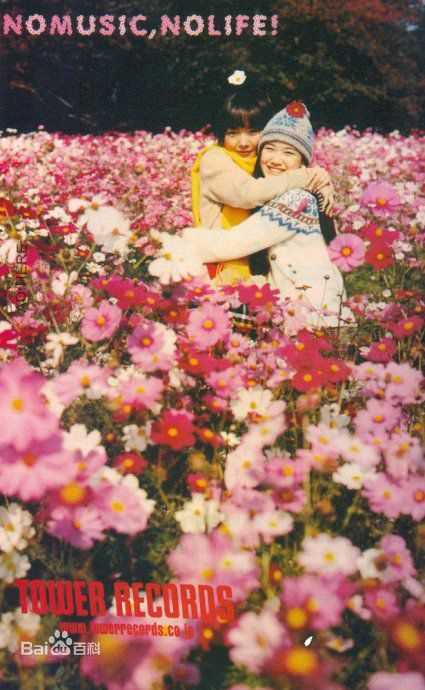 最全苍井优(あおい ゆう、Yu Aoi)精彩图册