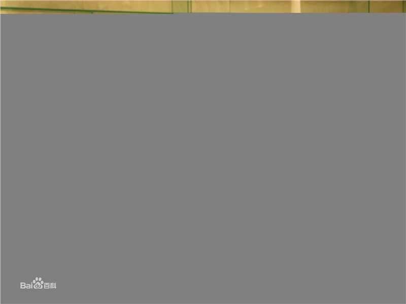 最优质友坂理惠(Rie Tomosaka (ともさかりえ))精彩图册