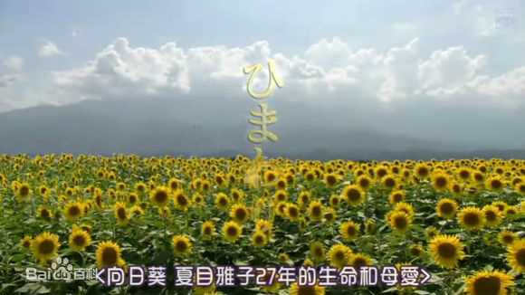 精选武田铁矢(Takeda Tetsuya)图片