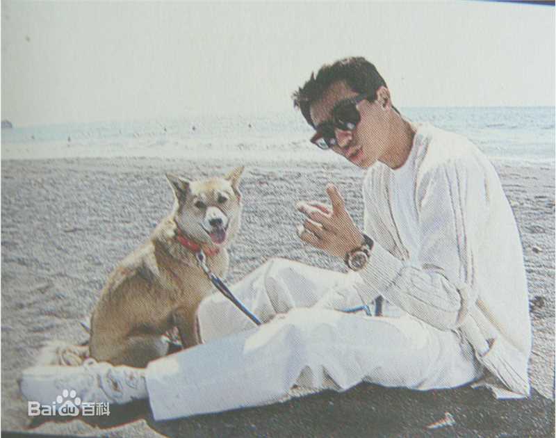 柳叶敏郎(柳葉 敏郎)最新海报壁纸