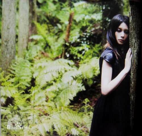 柴崎幸(日文：柴咲 コウ)高清图集