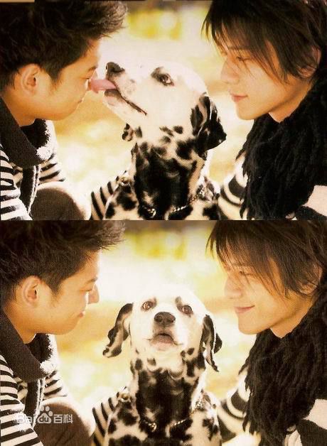 精选泷泽秀明(滝沢秀明、Takizawa Hideaki)精彩图册