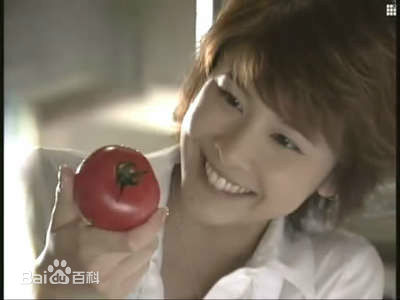 竹内结子(たけうち ゆうこ)午餐女王最全剧照