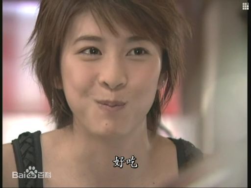 竹内结子(たけうち ゆうこ)午餐女王最全剧照