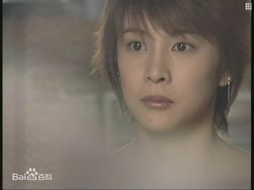 竹内结子(たけうち ゆうこ)午餐女王最全剧照