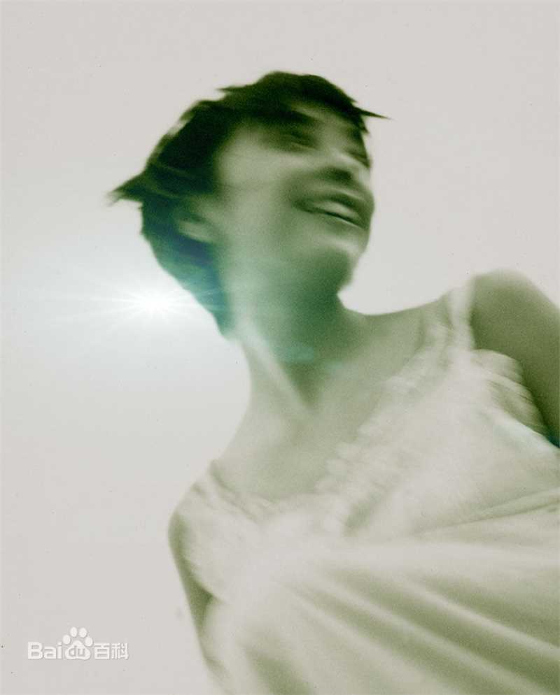 竹内结子(たけうち ゆうこ)精选图册