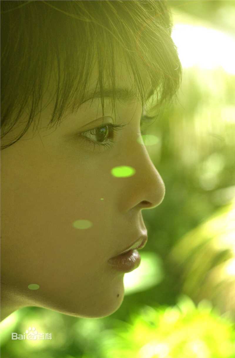 竹内结子(たけうち ゆうこ)精彩图册