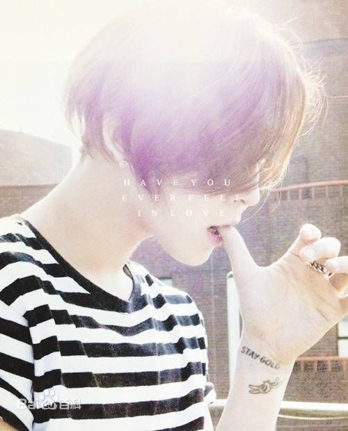 南太铉(/Nam TaeHyun)概念图图片图集