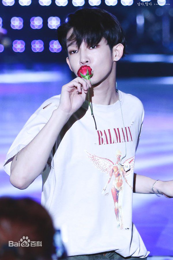 南太铉(/Nam TaeHyun)大邱Park Concert 演唱会生活照相册