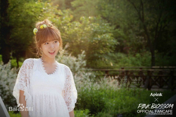 精选金南珠(，Kim Nam Joo)