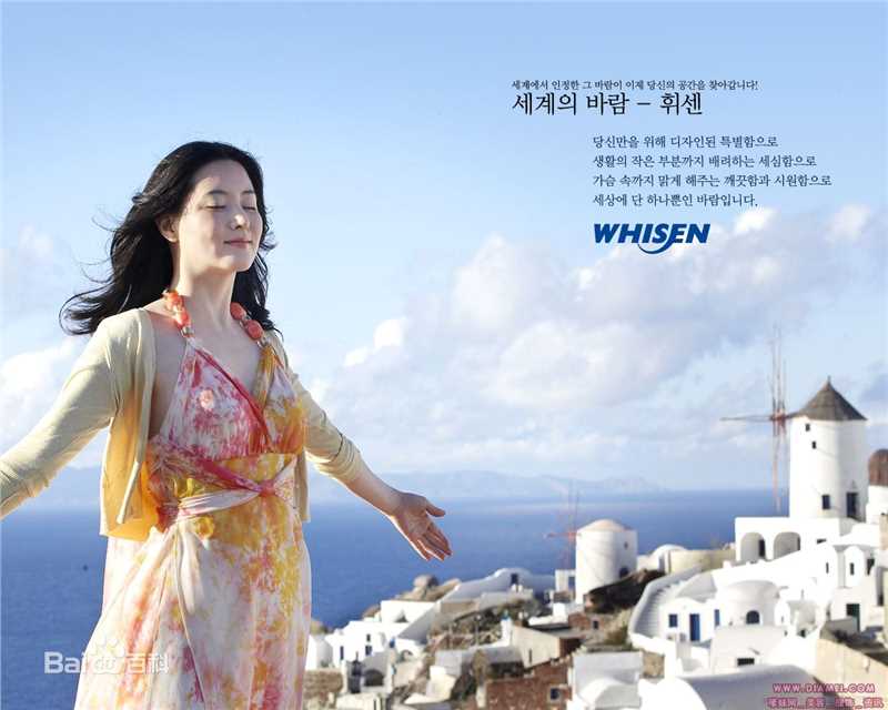 李英爱(（韩），Lee Young Ae（英）)精选 图册